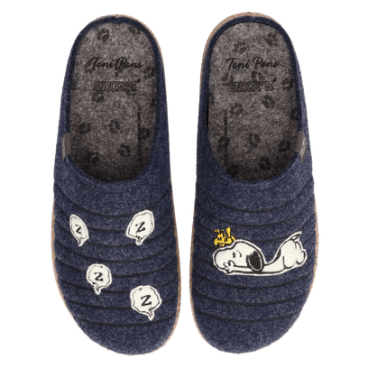 Charlie Herren Filz-Hausschuhe Blau