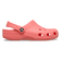 Classic Clogs Guava