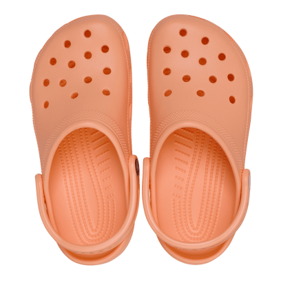 Classic Clogs Electric Sunstone