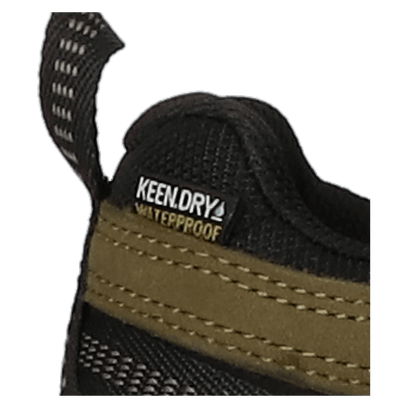 Targhee IV Herren Wanderschuhe Dark Olive/Gold Flame