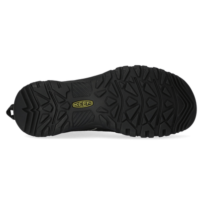 Targhee IV Herren Wanderschuhe Bison/Black