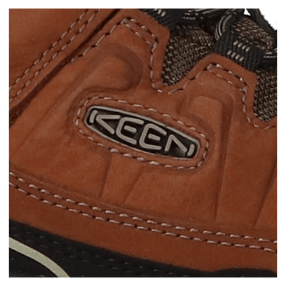 Targhee IV Herren Wanderschuhe Bison/Black