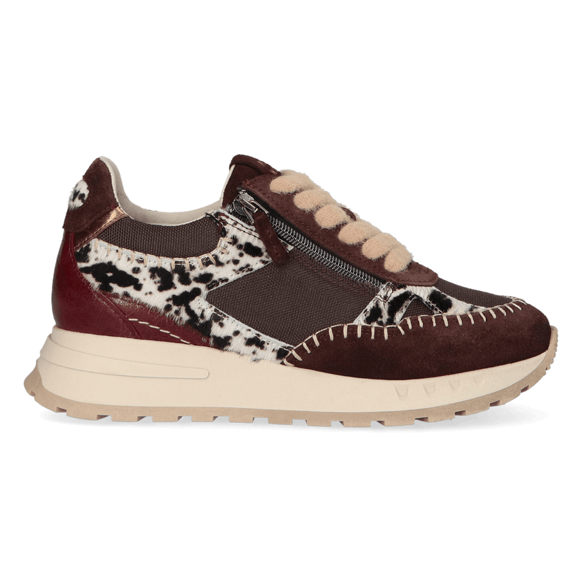 HEDY 06.01 Damen Leder-Sneaker Dark Brown