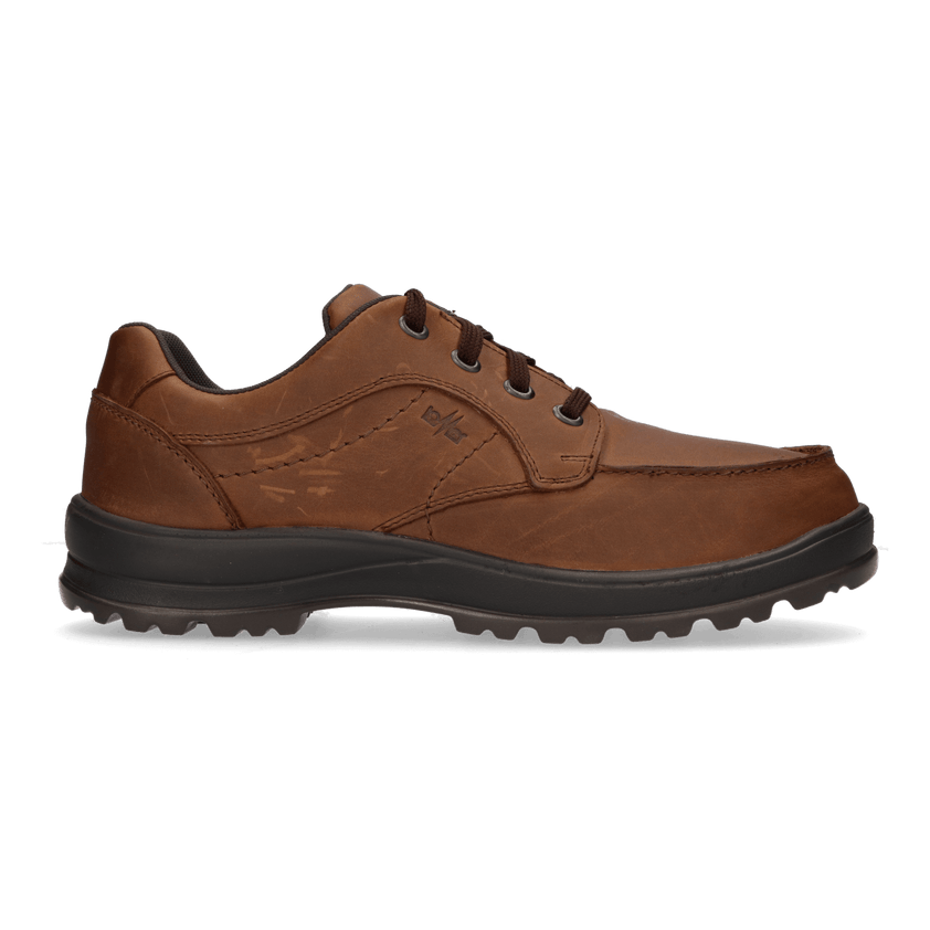 Oxford Herren Schnürschuhe Piquet Kopper Brown