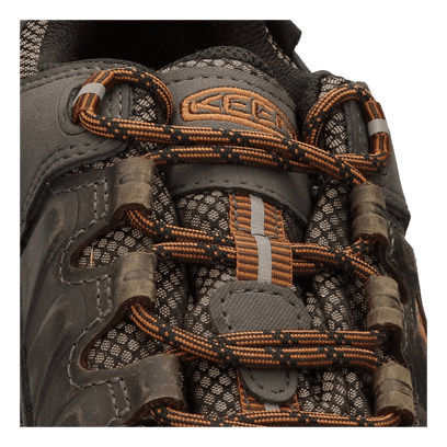 Targhee III Herren Wanderschuhe Black Olive/Golden Brown