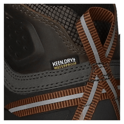 Targhee III Mid Herren Wanderschuhe Black Olive