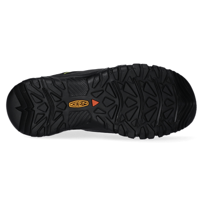 Targhee III Herren Wanderschuhe Forest Night/Evening Primrose