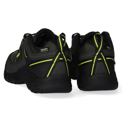 Targhee III Herren Wanderschuhe Forest Night/Evening Primrose