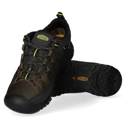 Targhee III Herren Wanderschuhe Forest Night/Evening Primrose