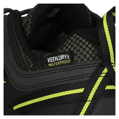 Targhee III Herren Wanderschuhe Forest Night/Evening Primrose