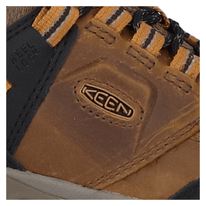 Ridge Flex Herren Wanderschuhe Bison/Golden Brown