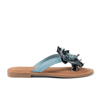 Lazamani - ss 26 - 60%