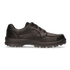 Oxford Herren Schnürschuhe Piquet Analina Black