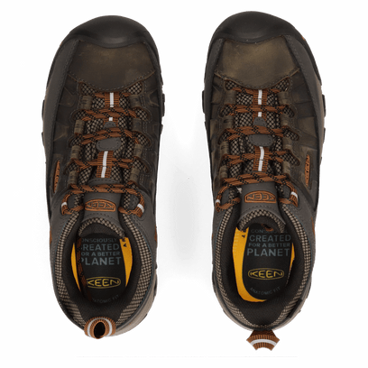 Targhee III Herren Wanderschuhe Black Olive/Golden Brown