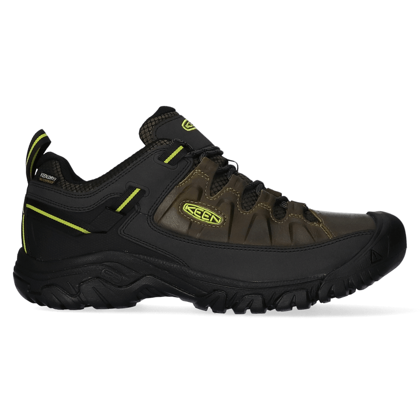 Targhee III Herren Wanderschuhe Forest Night/Evening Primrose