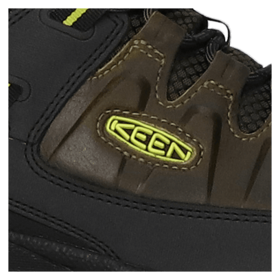 Targhee III Herren Wanderschuhe Forest Night/Evening Primrose