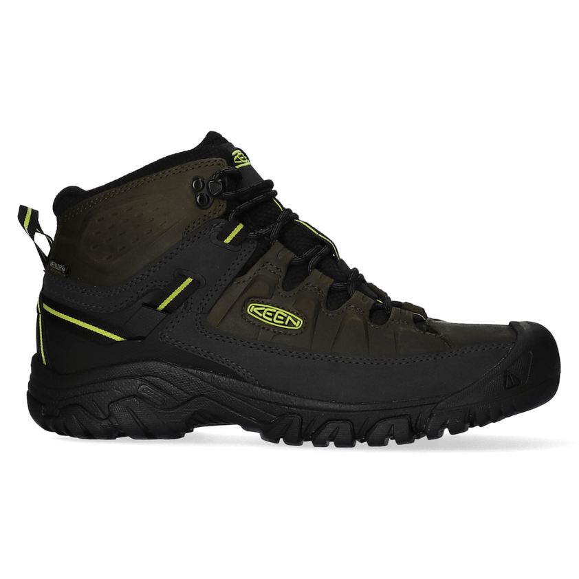 Targhee III Mid Herren Wanderschuhe Forest Night/Evening Primrose