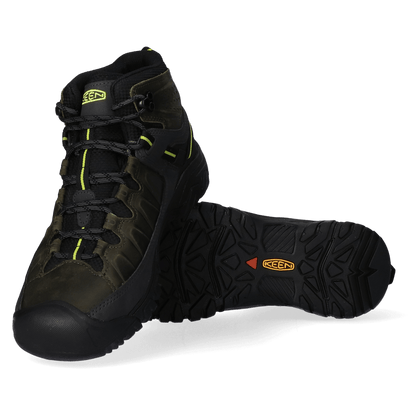 Targhee III Mid Herren Wanderschuhe Forest Night/Evening Primrose